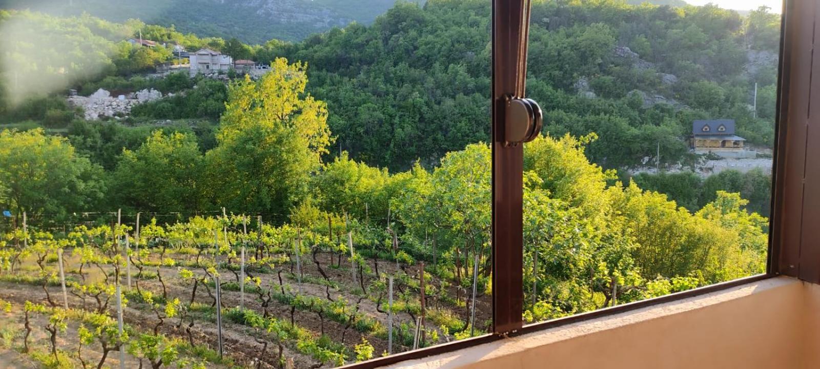 Village House - Novak Rijecani Rijeka Crnojevića Eksteriør billede