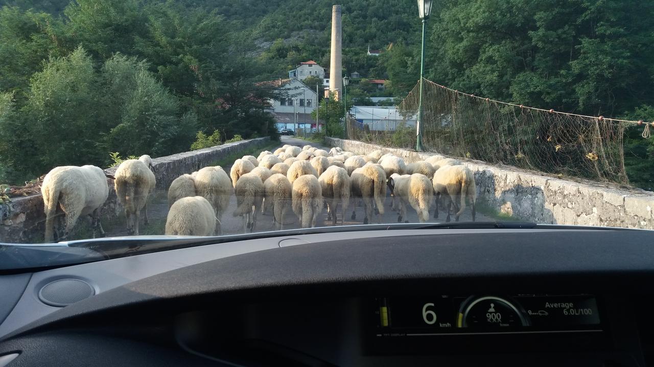 Village House - Novak Rijecani Rijeka Crnojevića Eksteriør billede